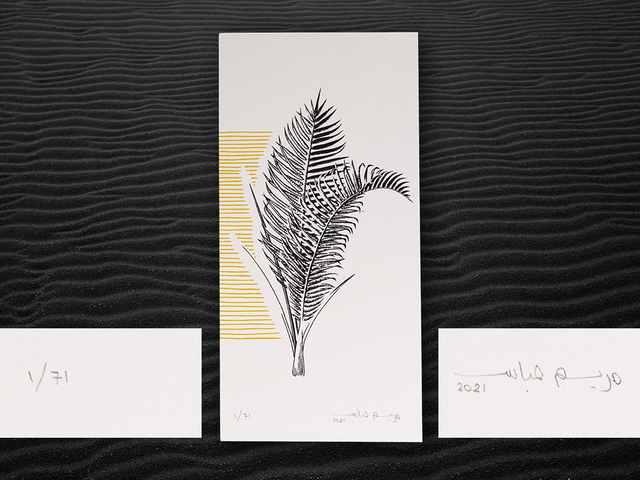 Fronds of Pheonix Dactilyfera